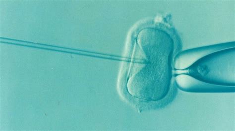 anonymous ivf using a sperm donor