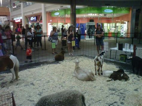 This is all american petting zoo by capitol international production on vimeo, the home for high quality videos and the people who love them. Last summer my family ran a petting zoo in the rotunda of ...