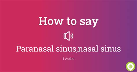 How To Pronounce Paranasal Sinusnasal Sinus