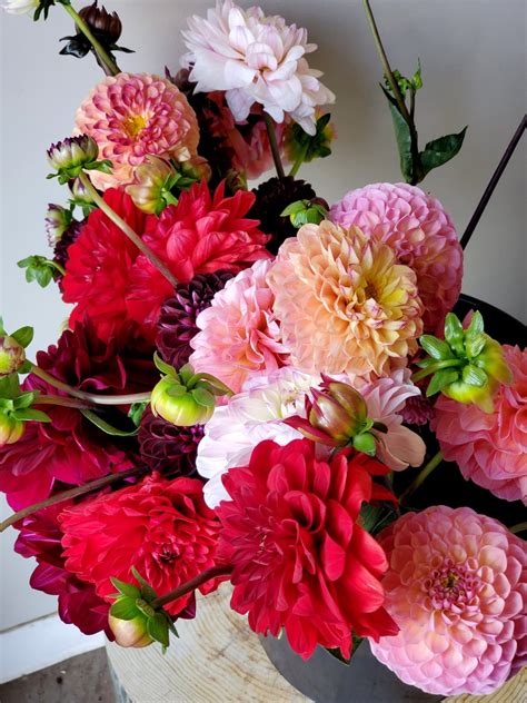 Order Flowers Online Dahlia Vase Arrangement Passionate Blooms