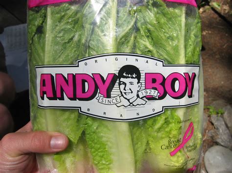 Andy Boy Andy Boy Makes Delicious Lettuce Floatingfoam Flickr
