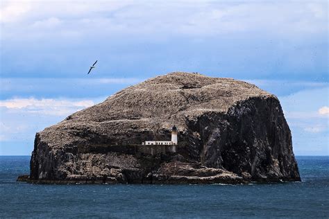 Bass Rock The Bass Rock Or Simply The Bass Is An Island I Flickr