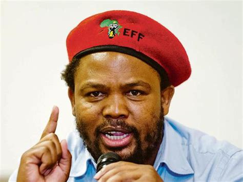 Black South African Politician Andile Mngxitama Calls For Mugabe Style