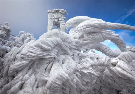 An Unusually Strong Winter Storm Produced Beautiful Ice Formations