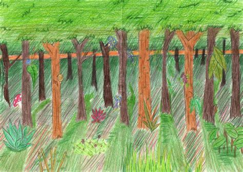 Forest Drawing For Kids