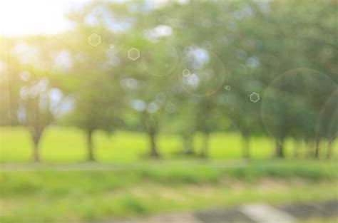 Blur Nature Green Park Abstract Background Factright