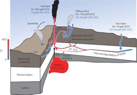 Deep Sea Hydrothermal Vent Theory