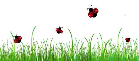 It comes with a rain gauge, a handy tool to it is a perfect ch. Insect grass clipart - Clipground