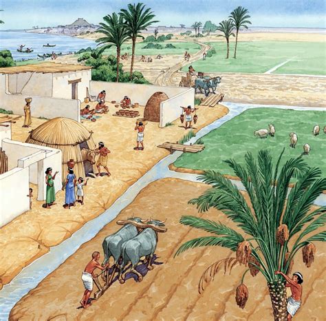 Mesopotamia Farming Tools