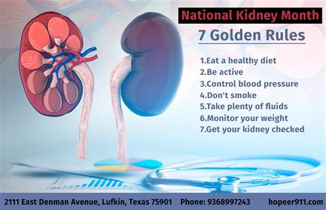 Our Kidneys Are Small In Size But They Perform Many Important
