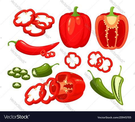 Hot Red Green Chili Pepper Vector Image On VectorStock Green Chili