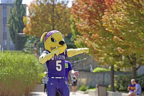Western Illinois University College Mascot Rocky Home Of The
