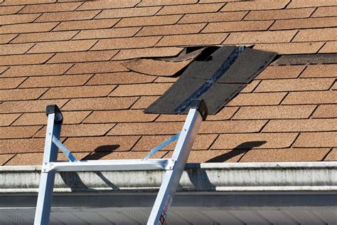 Guide To Preventing And Spotting Wind Damage To Roof Systems