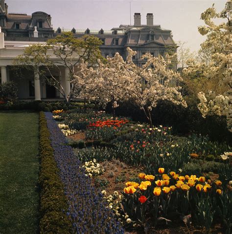 The Full Story Behind The Controversial Rose Garden Redesign