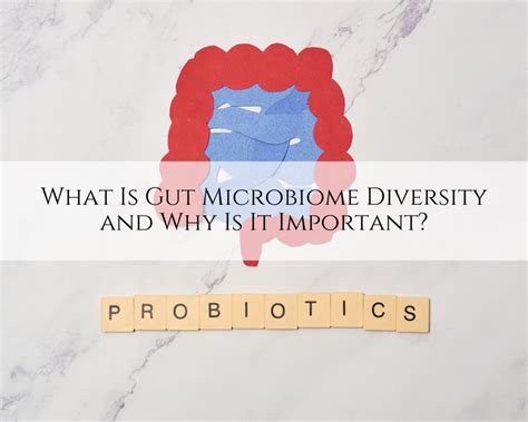 What Is Gut Microbiome Diversity And Why Is It Important Central