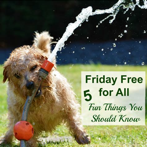 Friday Free For All 5 Fun Things You Should Know