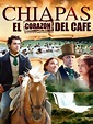 Chiapas, El Corazón Del Café | SincroGuia TV