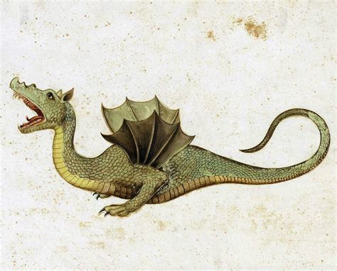 Medieval Dragon Manuscript Lonestargaret