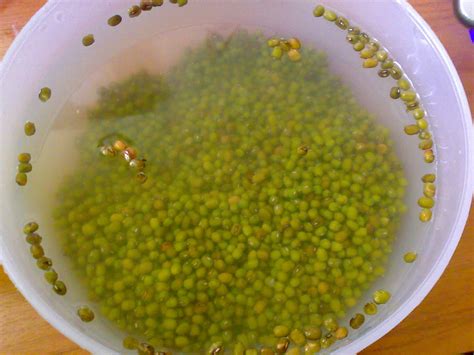 Check spelling or type a new query. Resepi Jagung Rebus Kelapa - Surasmi E