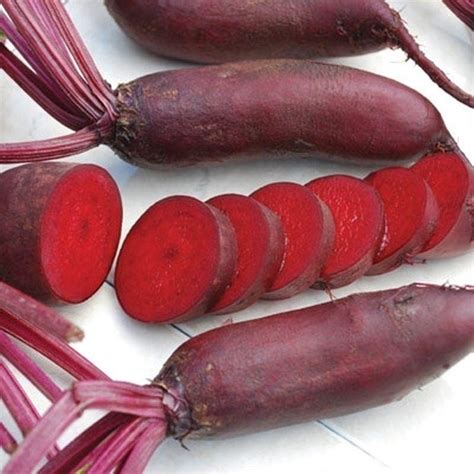 Cylindra Organic Beet Seeds Etsy In 2022 Beet Seeds Beets Seeds