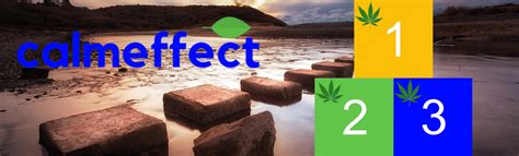 Set up an appointment and see a doctor that is a qualified doctor that can prescribe medical marijuana. Florida Medical Marijuana Card, Get Yours - How To - CalmEffect.com