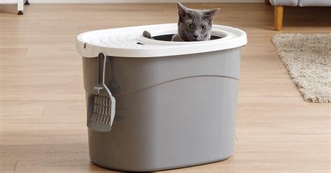 Top Entry Cat Litter Box And Scoop 1349 Reg 2499 Wheel N Deal Mama