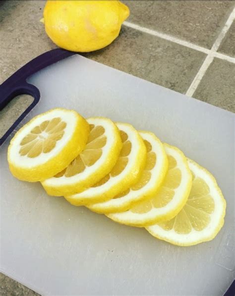 How To Freeze Lemon Slices Frozen Lemon Freezing Fruit Lemon Slice