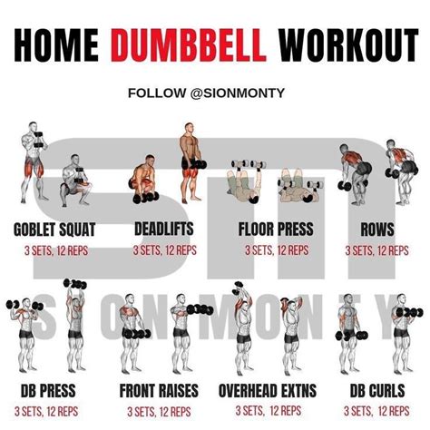 Home Dumbell Workout Dumbbell Workout At Home Full Body Weight Workout Dumbbell Workout