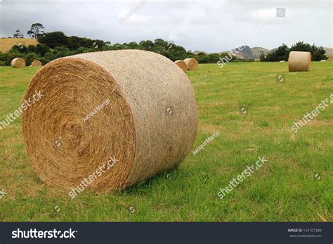 Large Hay Bales In Green Paddock Stock Photo 124107289 Shutterstock