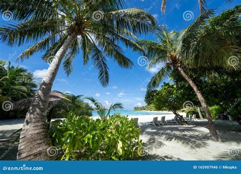 Beautiful View Of A Pristine White Beach Turquoise Water And Palm