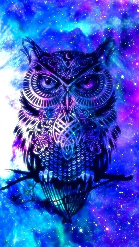 Night Owl Wallpapers Wallpaper Cave