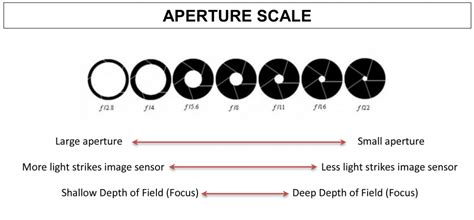 Photography Tips For Aperture Aperture Photography Aperture Depth