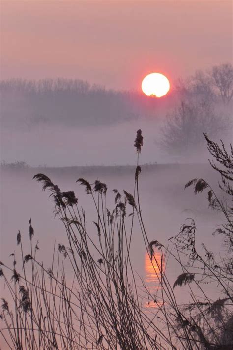 Misty Morning By Bart Ceuppens 500px Misty Nature Photos Sunset