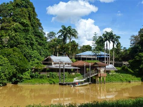 Book the best miri hotels on tripadvisor: Rumah Orang Tua Di Miri Sarawak - Omong j