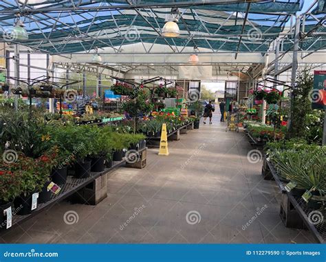 Flowers For Sale At Lowes Garden Center Editorial Image Image Of