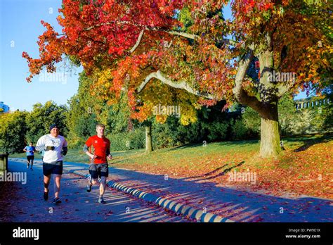 Joggers Enjoy A Sunny Autumn Day Stanley Park Seawall Vancouver