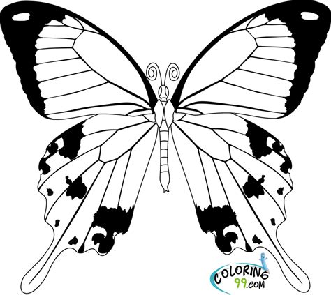 Big Butterfly Coloring Pages