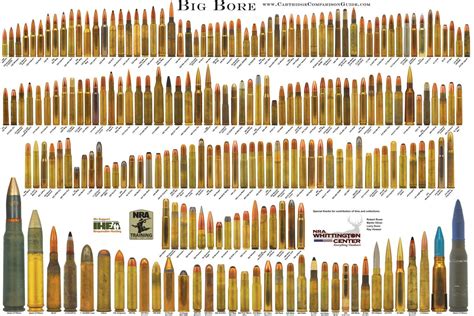 American Standard Ammunition Cartridge Military Weapons Weapons Guns