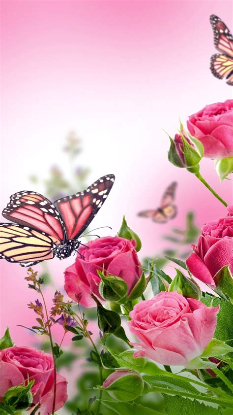 Pink Butterfly Mobile Wallpaper Hd 2020 Cute Wallpapers