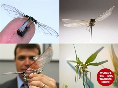 Miniature Drones Disguised As Bugs Or Insects Digital Trends Design