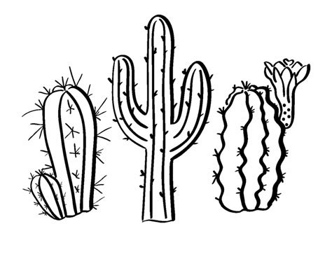 Download High Quality Cactus Clip Art Black Transparent Png Images
