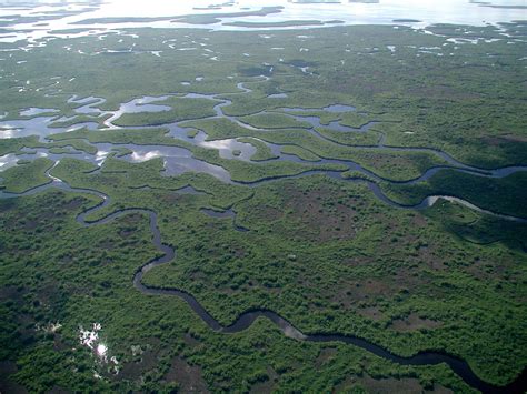 Parque Nacional De Everglades Viaje Al Patrimonio