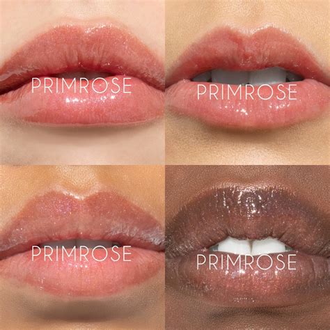 LipSense Primrose Gloss Limited Edition Swakbeauty Com