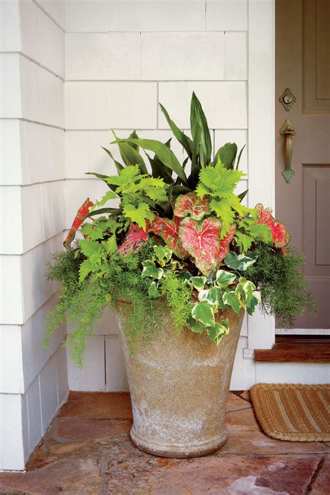 Shady Ladies Containers For Covered Porches Southern Living