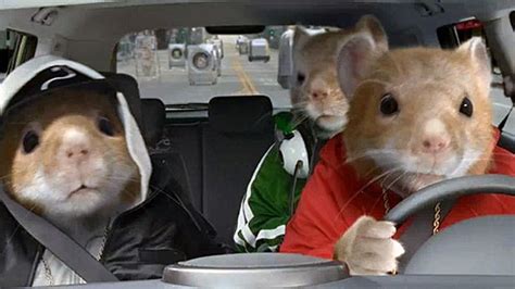 Kia Hamsters Ready To Return For New Batch Of Soul Ads