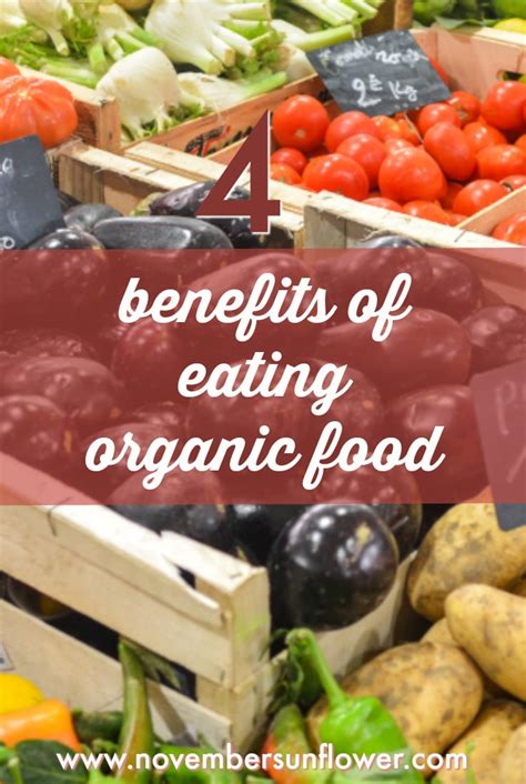 Struggling With Dietary Decisions 4 Benefits Of Eating Organic Food