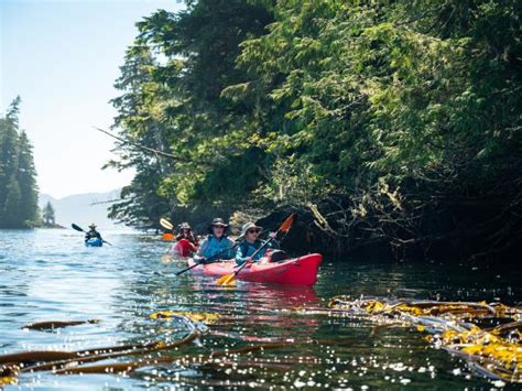 British Columbia Sea Kayaking Holiday Responsible Travel