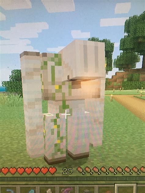 Can Anyone Tell Me Why My Iron Golem Is Just Looking Down Thats All
