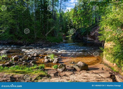 Scenic River View Landscape Of Forest Rocky Stream With Trees On The