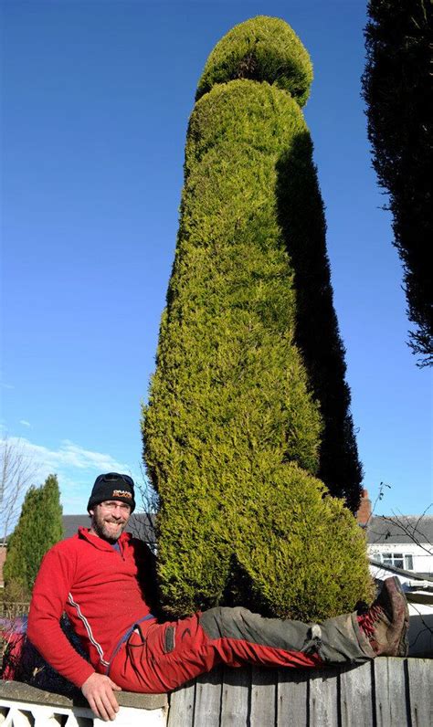 Penis Shaped Tree Turns Heads In Worcestershire Huffpost Uk Comedy